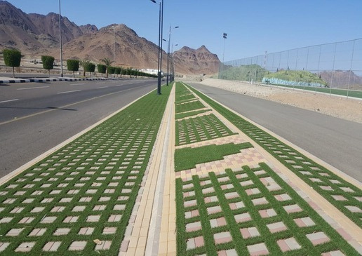 مشروع
