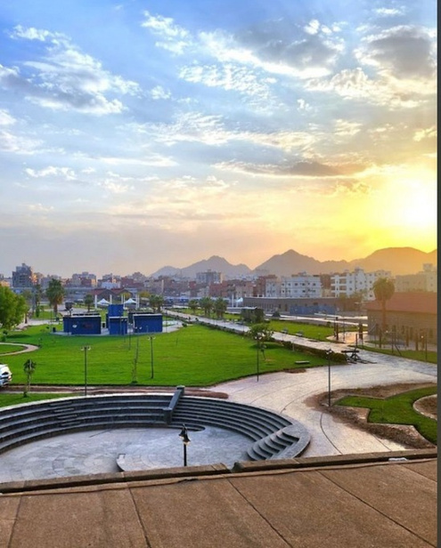 مشروع